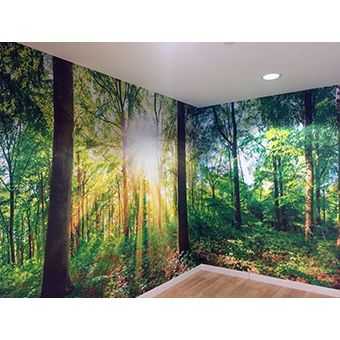 Custom Large Wall Wraps (READ INSTRUCTIONS ON PAGE)