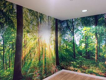 Custom Large Wall Wraps (READ INSTRUCTIONS ON PAGE)